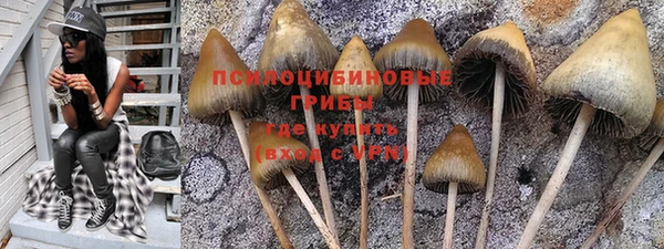 спайс Арсеньев
