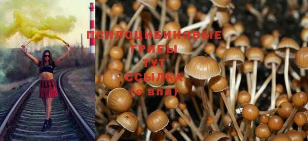 каннабис Аркадак