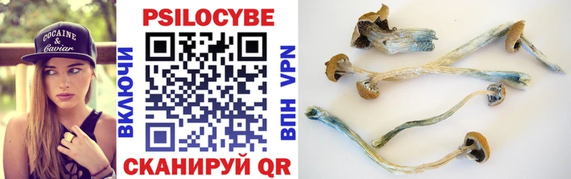 Псилоцибиновые грибы GOLDEN TEACHER  Орёл 