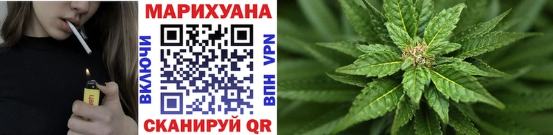 Канабис конопля Орёл